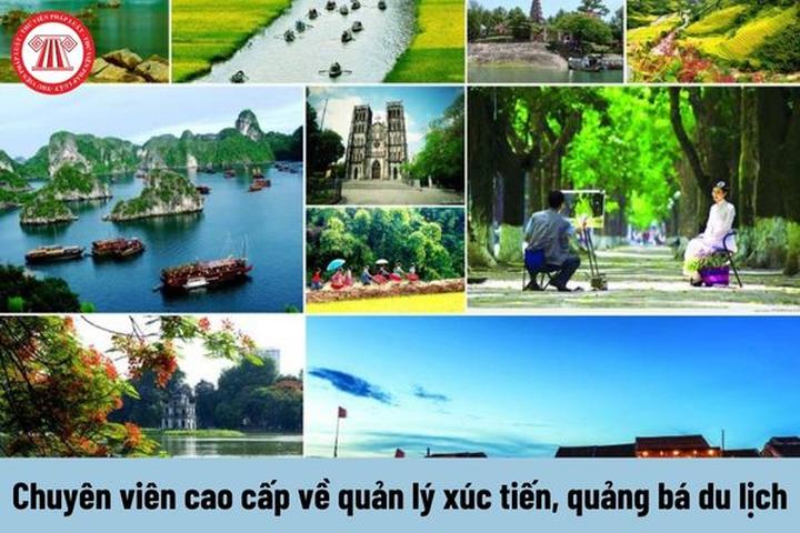 Từ Bắt tạm giam Bùi Thị Thanh đến chiến lược content: Hotspot Matrix chia sẻ_Slice với hàng hóa