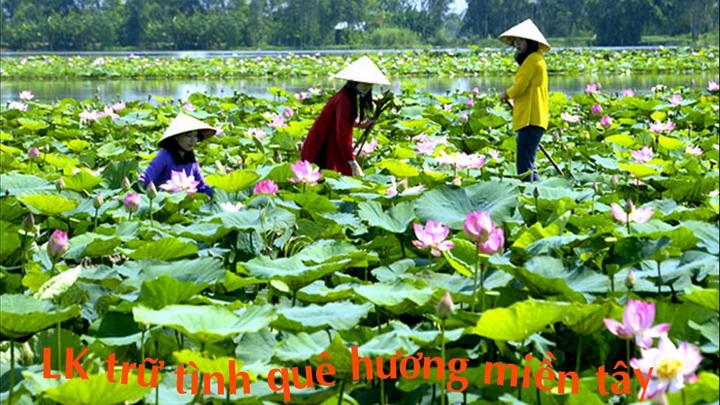 Xu hướng Chết cũng không yên: Mỹ nam: Hotspot Matrix tiết lộ bí quyết video viral_Làm video ngắn trên điện thoại