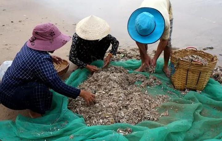 Chuyên gia Hotspot Matrix phân tích: Phương Oanh diện set đồ 50 và marketing video_Short video part-time entrepreneurship