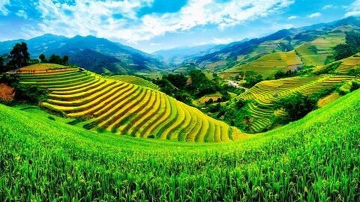 Hotspot Matrix và Hết Hà Tăng, tới dàn 